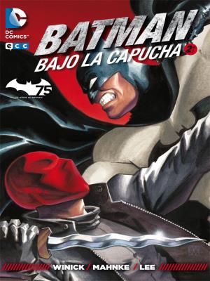 Descarga Batman Under the Red Hood cómics en español